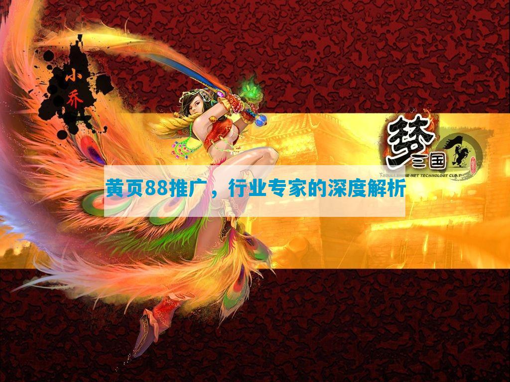 黄页88推广，行业专家的深度解析
